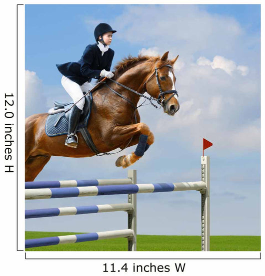 Equestrian Jumper Wall Mural
