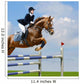 Equestrian Jumper Wall Mural