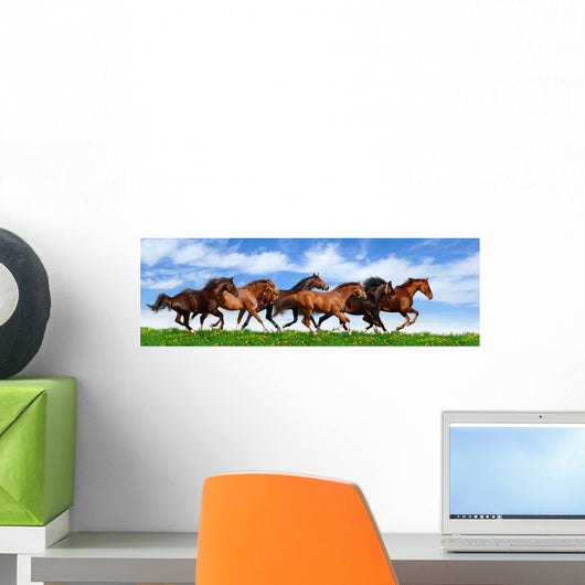 herd gallops Wall Mural