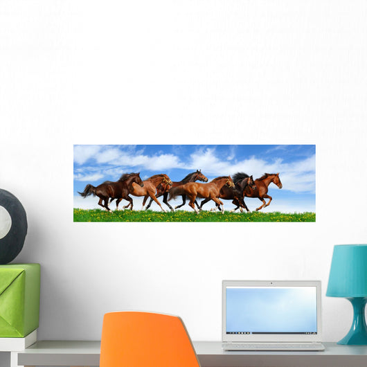 herd gallops Wall Mural
