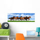 herd gallops Wall Mural