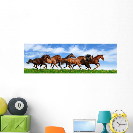 herd gallops Wall Mural