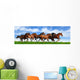 herd gallops Wall Mural