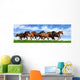herd gallops Wall Mural
