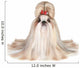 Dog Breed Shih-tzu White