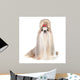 Dog Breed Shih-tzu White