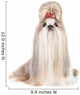 Dog Breed Shih-tzu White