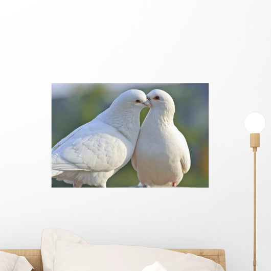 Two Loving White Doves Wall Mural