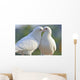 Two Loving White Doves Wall Mural