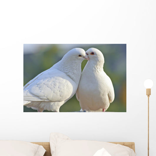Two Loving White Doves Wall Mural