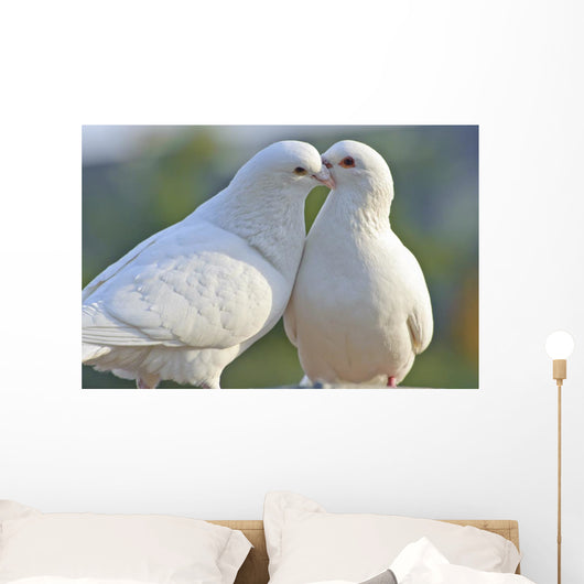 Two Loving White Doves Wall Mural