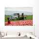 tulip farm workers Wall Mural