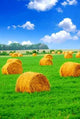 Hay Bales Wall Decal