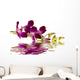 Purple Orchid