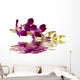 Purple Orchid