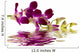 Purple Orchid