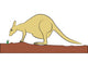 Kangaroo Vector