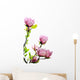 Spring Magnolia Tree Blossoms