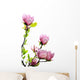 Spring Magnolia Tree Blossoms