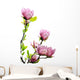 Spring Magnolia Tree Blossoms