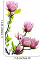 Spring Magnolia Tree Blossoms