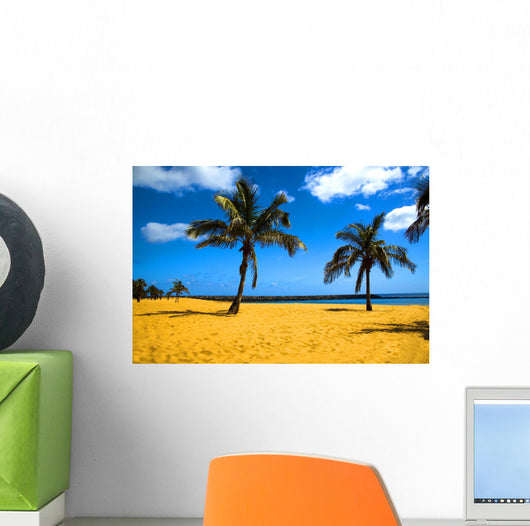 palm beach Wall Mural