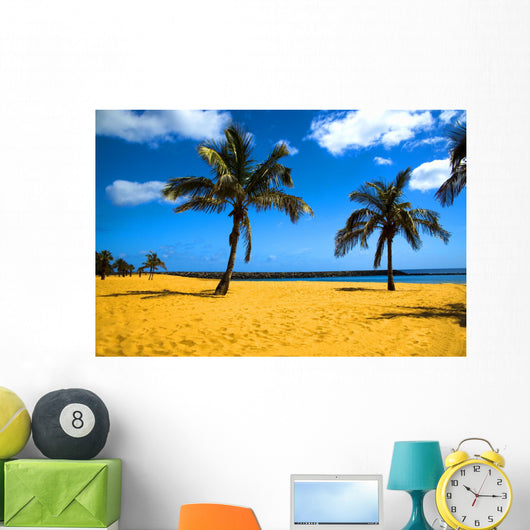 palm beach Wall Mural