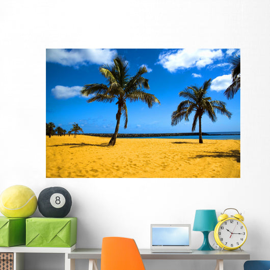 palm beach Wall Mural