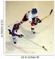 Ice Hockey Wall Mural
