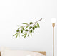 Branch Olive Tree
