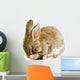 Brown Baby Bunny Wall Decal