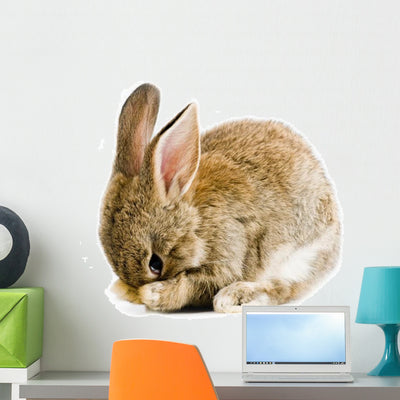 Brown Baby Bunny Wall Decal shown on a wall