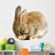 Brown Baby Bunny Wall Decal
