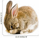 Brown Baby Bunny Wall Decal