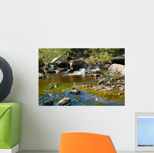 Stream