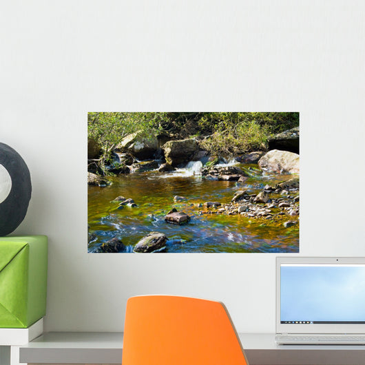 Stream