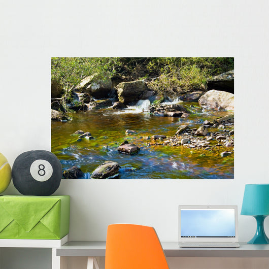 Stream