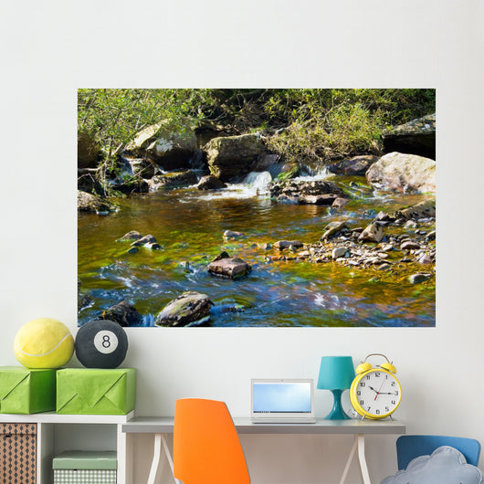 Stream