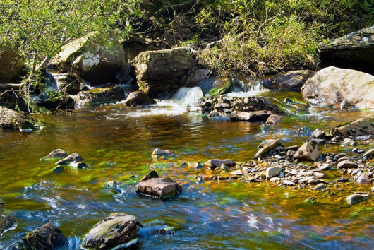 Stream