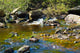 Stream