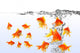 Goldfish Wall Mural