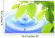 Green Leaf and Water