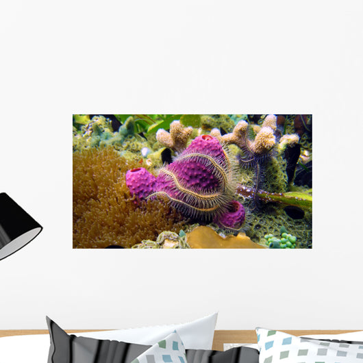 Sponge and Brittle Star Wall Mural
