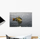 Perch Ice