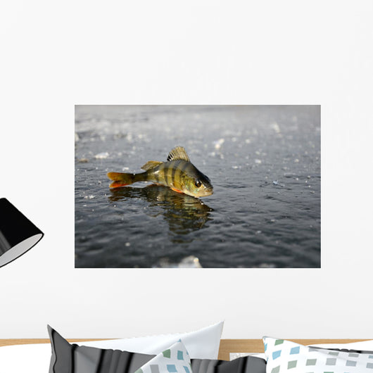 Perch Ice