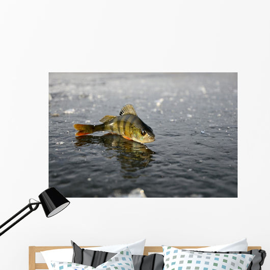 Perch Ice