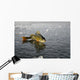 Perch Ice