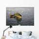 Perch Ice