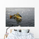 Perch Ice