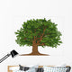Big tree Wall Mural